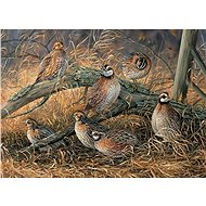 Cobble Hill Puzzle Quail 1000 pieces - Jigsaw Puzzle