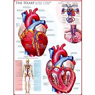 Eurographics Puzzle Heart 1000 pieces - Jigsaw Puzzle