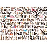Eurographics Puzzle Cat World 1000 pieces - Jigsaw Puzzle