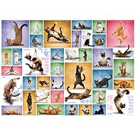 Eurographics Puzzle Cat Yoga 1000 pieces - Jigsaw Puzzle