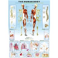 Eurographics Puzzle Human Body 1000 pieces - Jigsaw Puzzle