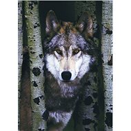 Eurographics Puzzle Gray Wolf 1000 pieces - Jigsaw Puzzle