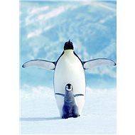 Eurographics Puzzle Penguin and Cub 1000 pieces - Jigsaw Puzzle