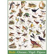 Eurographics Puzzle Birds 1000 pieces - Jigsaw Puzzle