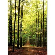 Eurographics Puzzle Forest Road 1000 pieces - Jigsaw Puzzle