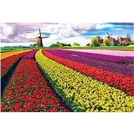 Eurographics Puzzle Tulip Field (HDR) 1000 pieces - Jigsaw Puzzle