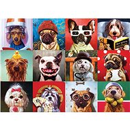 Eurographics Puzzle Funny Dogs 1000 pieces - Jigsaw Puzzle