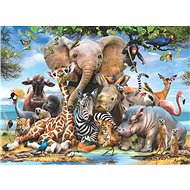 Anatolian Puzzle African Smile 1000 Pieces - Jigsaw Puzzle