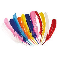 Boland Sada 12 peříček 30 cm - Costume Accessory