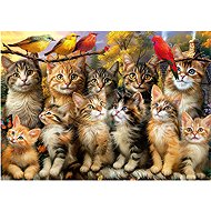EDUCA Puzzle Cats and birds 500 pieces - Jigsaw Puzzle