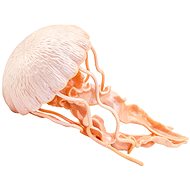 Safari Ltd.: Figurine - Jellyfish - Figure