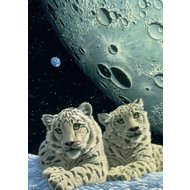 GRAFIKA Snow Leopard Den Puzzle 2000 pieces - Jigsaw Puzzle