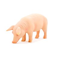 Mojo Fun pig domestic - Figure