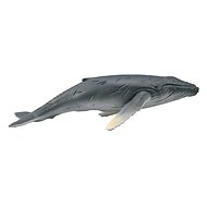 Collecta humpback whale chick - Figure