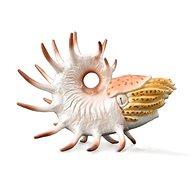 Collecta Cooperoceras - Figure