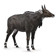 Collecta antelope Nilgai - Figure