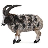 Collecta Jacob's sheep - Figure
