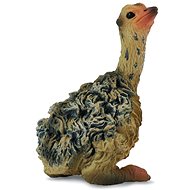 Collecta ostrich chick - Figure