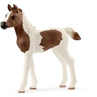 Schleich 13839 Pintabian Foal - Figure