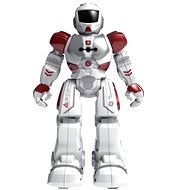 MaDe Viktor - Robot
