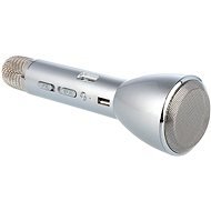 Eljet Karaoke-Mikrofon Basic silber - Kindermikrofon