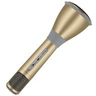 Eljet Karaoke Microphone Advanced gold - Children’s Microphone