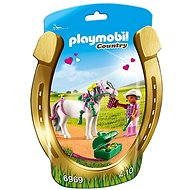 Playmobil 6969 Groomer with Heart Pony - Building Set