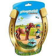 Playmobil Groomer with Butterfly Pony 6971 - Figure
