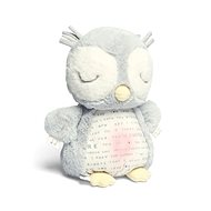 Musical Owl with Fairy Lights - Soft Toy