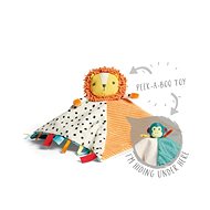 Toy with Peekaboo Activities - Baby Rattle