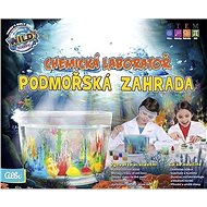 Underwater Garden - Chemical Lab - Craft for Kids