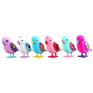 Cobi Little Live Pets Bird of the 6 species - Interactive Toy