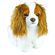 Rappa King Charles Spain - Soft Toy