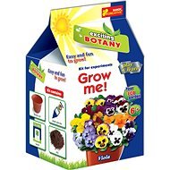 Grow Your Flower - Pansy - Creative Kit
