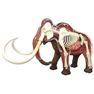 4D Mammoth - Anatomy Model