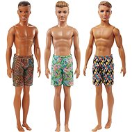 Barbie Ken in Swimsuit (CARRIER ITEM) - Doll