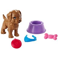 Barbie Game accessories - a boy - Doll