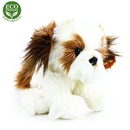 Rappa Seal - Soft Toy