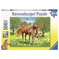Ravensburger 105779 Kone na pastvine - Puzzle