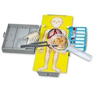 Kidzlab Human Torso Anatomy - Educational game
