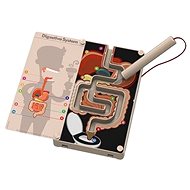 Kidzlabs Digestive system - Didactic Toy