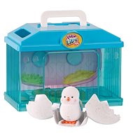 Little Live Pets Surprise Chick House Toy - Figure