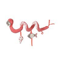 Spirale für den Kinderwagen Flamingo - Kinderwagen-Spielzeug
