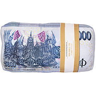 Impar 3D ‘Banknotes’ Cushion - Pillow