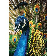 Interdruk Puzzle colourful Nature Peacock 250 pieces - Jigsaw Puzzle