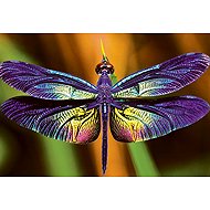 Interdruk Puzzle colourful Nature Dragonfly 250 pieces - Jigsaw Puzzle