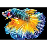 Interdruk Puzzle colourful Nature Fish 250 pieces - Jigsaw Puzzle