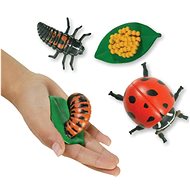 Insect Lore Life Cycle - Ladybug - Educational Set