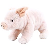 Rappa Piglet - Soft Toy