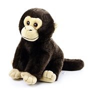 Rappa Soft Toy Monkey - Soft Toy